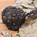 Coming soon: Summer Truffle Season